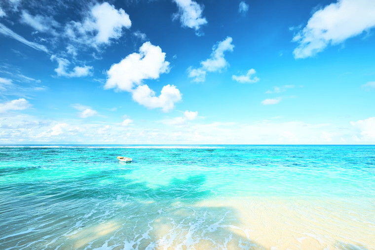 夏のキャンペーン